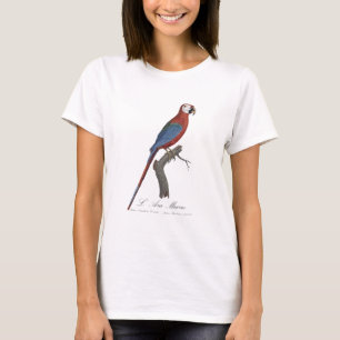 Camiseta L' Ara Macao / Red and green Macaw