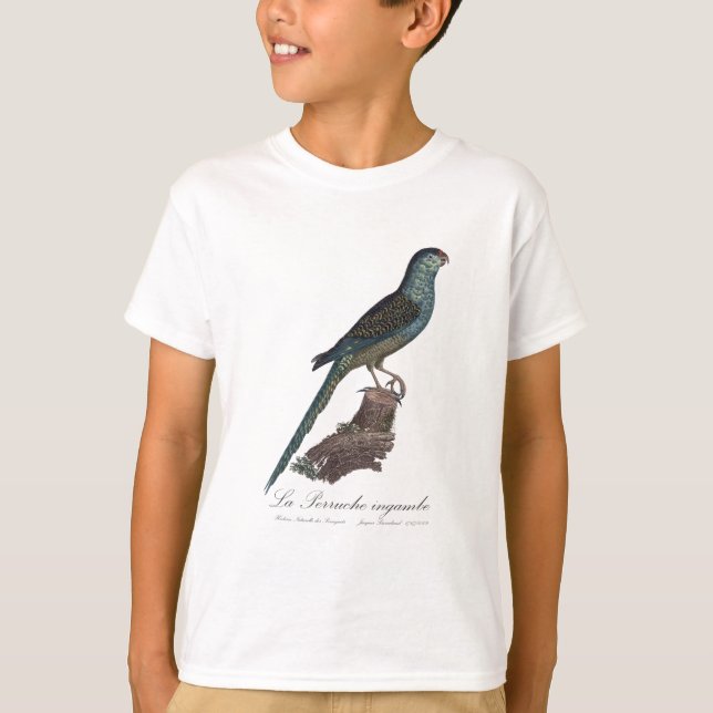 Camiseta La Perruche ingambe (Frente)