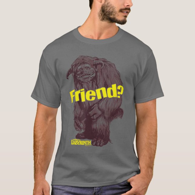 Camiseta Labirinto Ludo Amigo amigo (Frente)