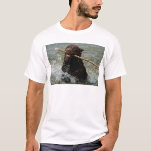 Camiseta Laboratório de Chocloate