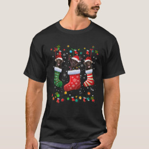 Camiseta Laboratório de Chocolate Labrador Meias de Natal E