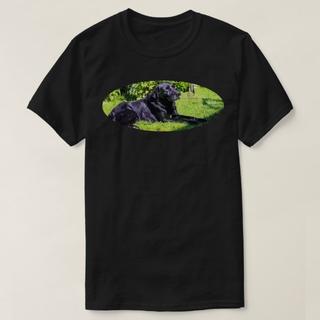 Camiseta labrador (Frente do Design)