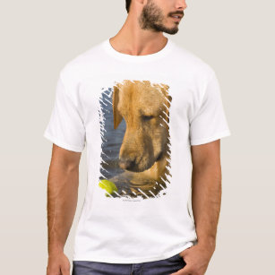 Camiseta Labrador amarelo com uma bola de tênis na água