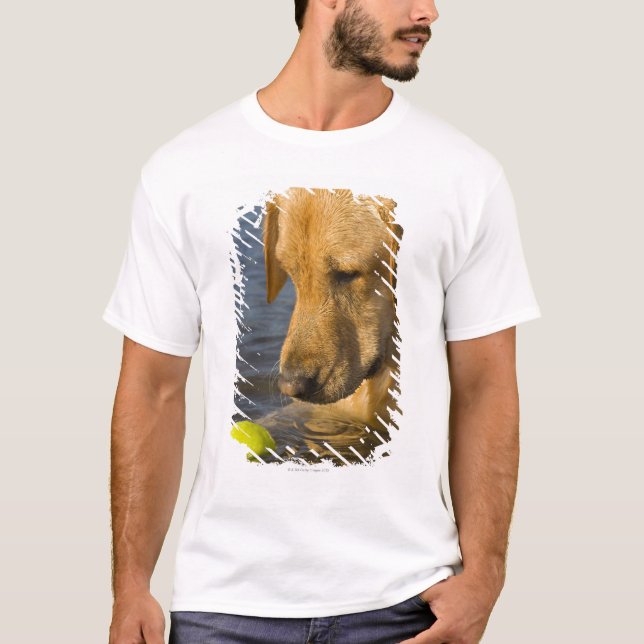 Camiseta Labrador amarelo com uma bola de tênis na água (Frente)