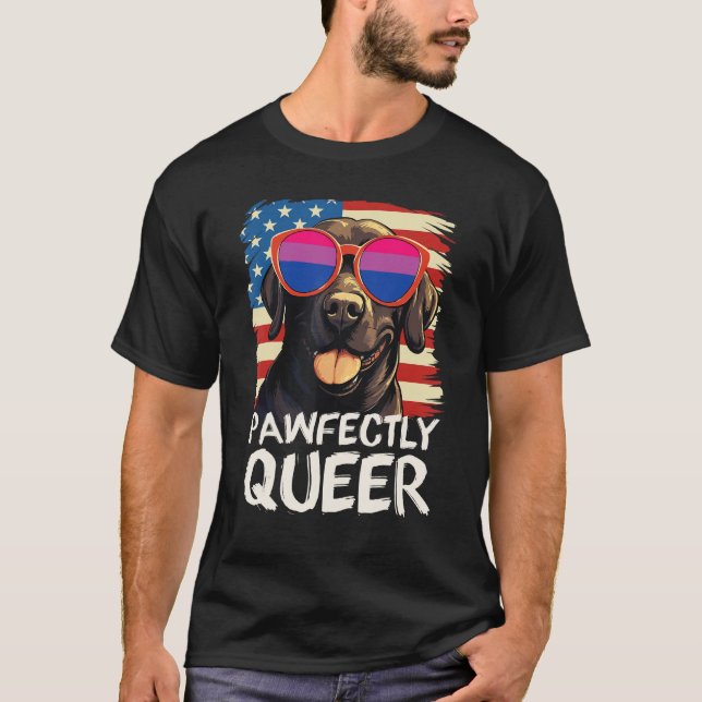 Camiseta Labrador Bissexual Flag Sunglasse (Frente)