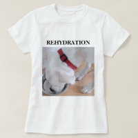 Labrador Branco-Bonito Misturar Água Bebendo Cão-C