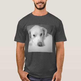 Camiseta Labrador Branco Bonito Misturar Cachorro Com Cinza