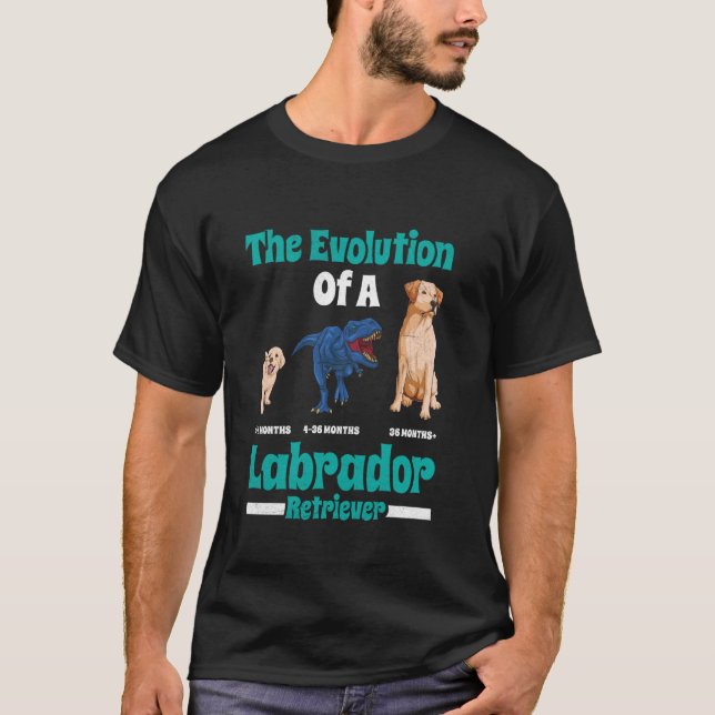 Camiseta Labrador Cachorro A EVOLUÇÃO DE UM RECUPERADOR DE  (Frente)