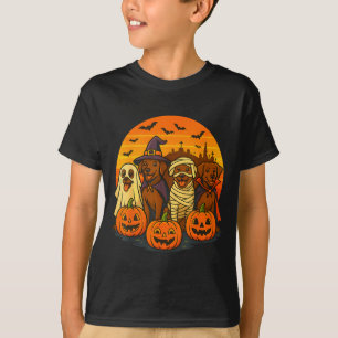 Camiseta labrador marrom de Halloween fantasma assustador c