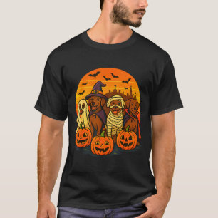 Camiseta Labrador marrom de Halloween Fantasma Soky Lab Cho