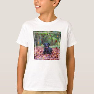 Camiseta Labrador Negro Em Folhas De outono