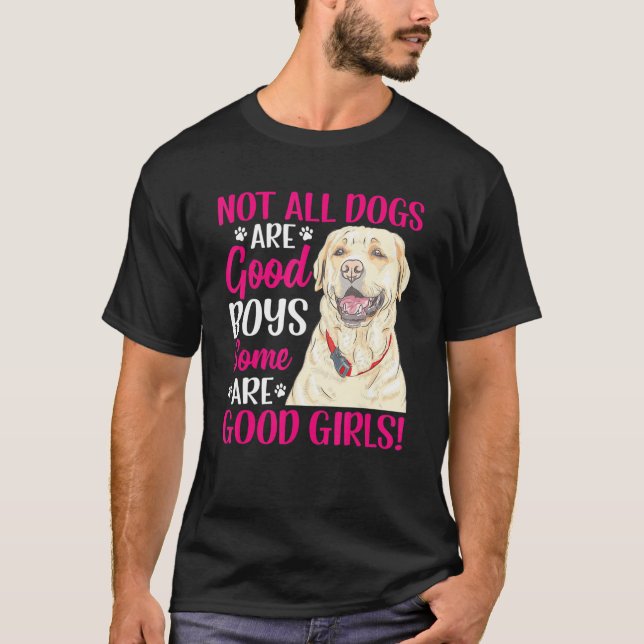 Camiseta Labrador Retriever Algumas São Boas Meninas Divert (Frente)