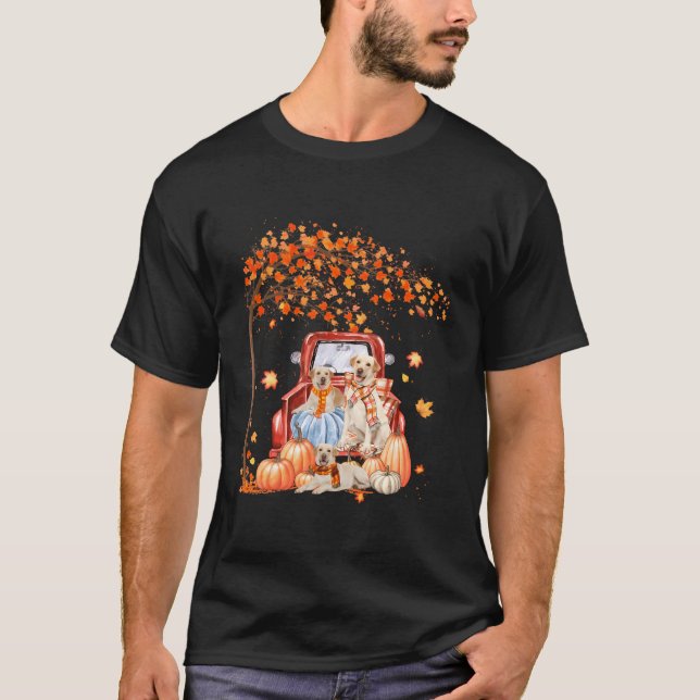 Camiseta Labrador Retriever Autumn Pumpkin Mapeou Folha (Frente)