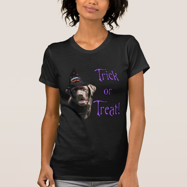 Camiseta Labrador Retriever (chocolate) (Frente)
