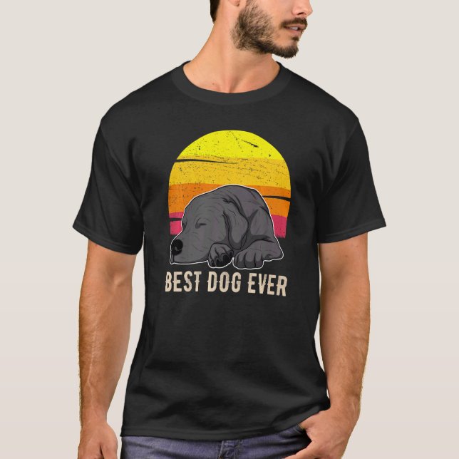 Camiseta Labrador Retriever Dog Sunset 57 (Frente)