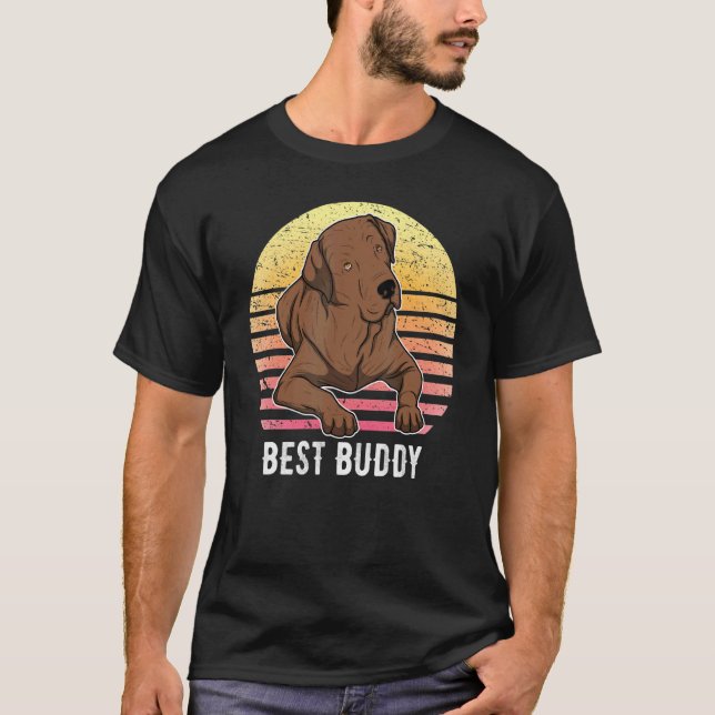Camiseta Labrador Retriever Dog Sunset 64 (Frente)