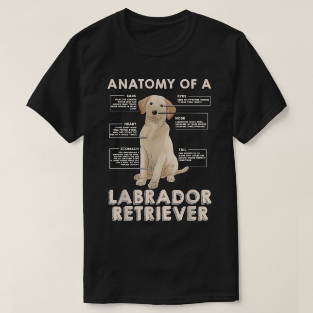 Camiseta Labrador Retriever Lover Engraçado Anatomia de um  (Frente do Design)