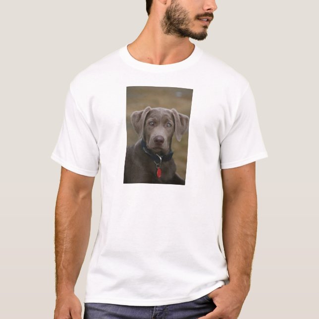 Camiseta Labrador retriever na prata clara rara (Frente)