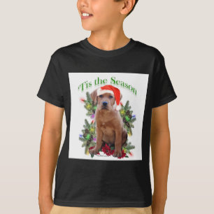 Camiseta Labrador Retriever "Tis