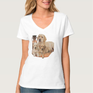 Camiseta Labrardor, recuperador