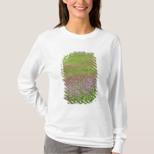 Camiseta Lace Daucus carota da Rainha Anne)