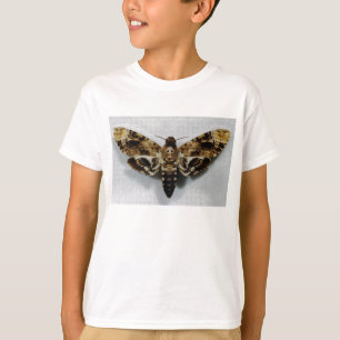 Camiseta Lachesis do Acherontia de Hawkmoth da cabeça de