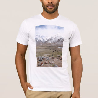 Camiseta Ladakh