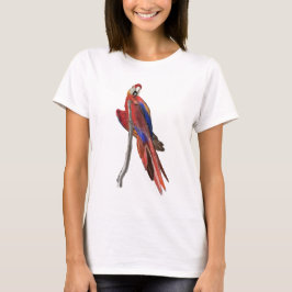 Camiseta Ladies t-shirt with scarlet macaw design