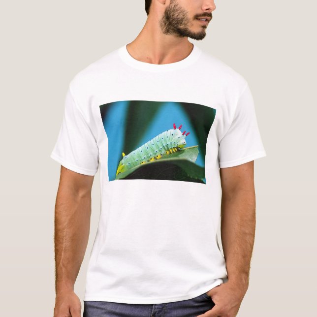 Camiseta Lagarta da Mariposa Prometeu, Callosamia (Frente)