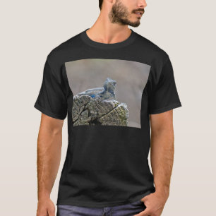 Camiseta Lagarto de Barriga Azul