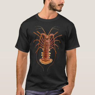 Camiseta Lagosta de rocha ocidental