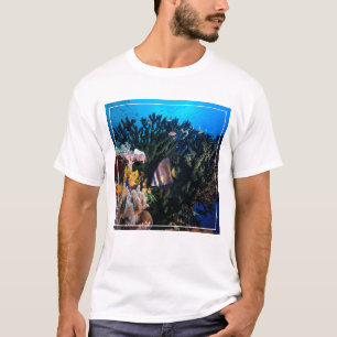 Camiseta Laja Ampat 4 subaquáticos
