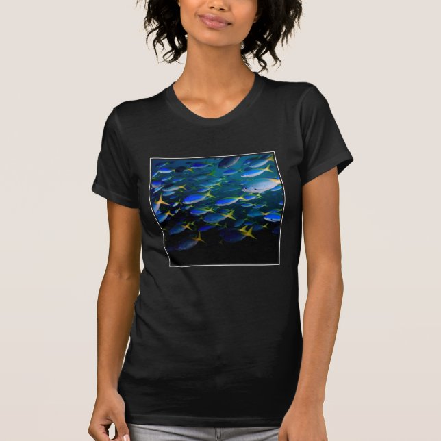 Camiseta Laja Ampat 5 subaquáticos (Frente)