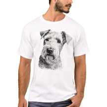 Lakeland Terrier Dog