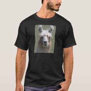 Camiseta Lama