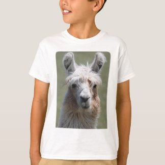 Camiseta Lama