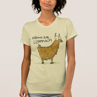 Camiseta lama do SE do como…?!