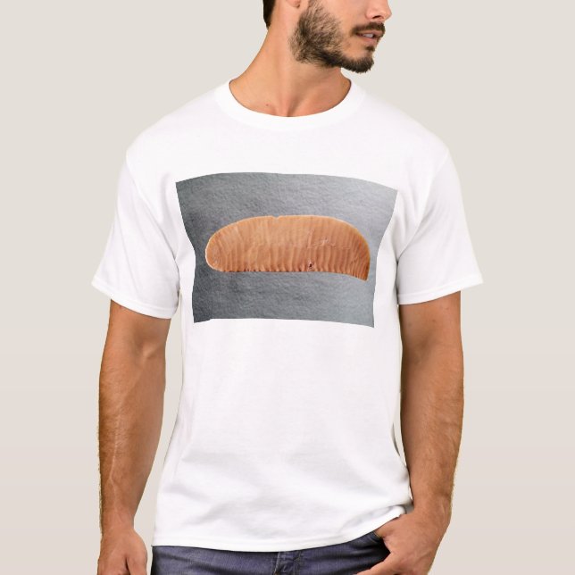 Camiseta Lâmina de faca (Frente)