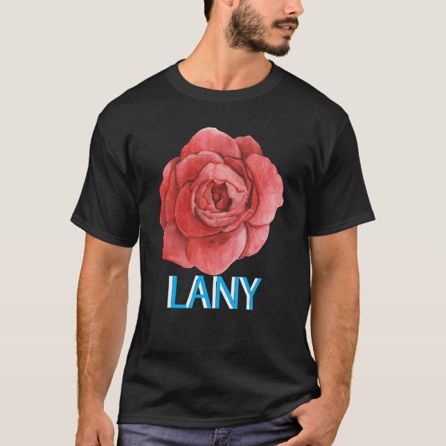Camiseta Lany Dumb Stuff (Frente)