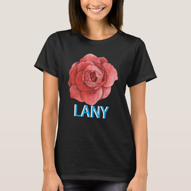 Camiseta Lany Dumb Stuff (Frente)