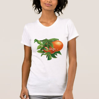 Camiseta Laranja suculenta com gotas d'água