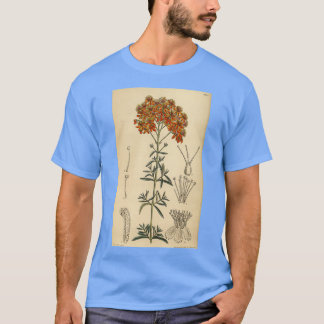 Camiseta Lata de Hypericum rubrum 144 8773