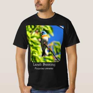 Camiseta Lazuli Bunting