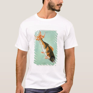 Camiseta Le Noriroux, gravado por Francois Nicholas Martine