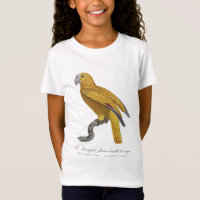 Le Perroquet Jaune ecaille de rouge