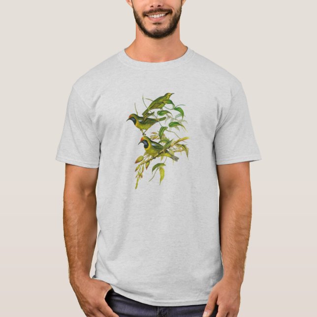 Camiseta Leafbird Ouro-fronteado (aurifrons de Chloropsis) (Frente)