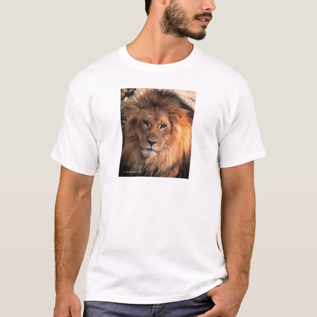 Camiseta Leão (Frente)
