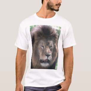 Camiseta Leão