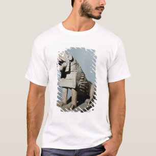 Camiseta Leão