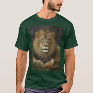 Camiseta Leão